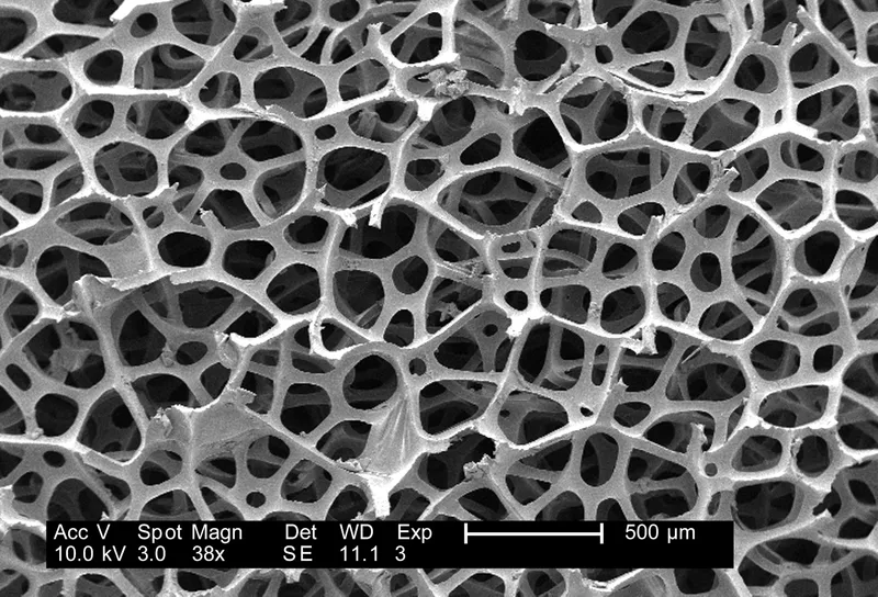 Run code in a persistent JupyterLab with 30+ scientific packages.